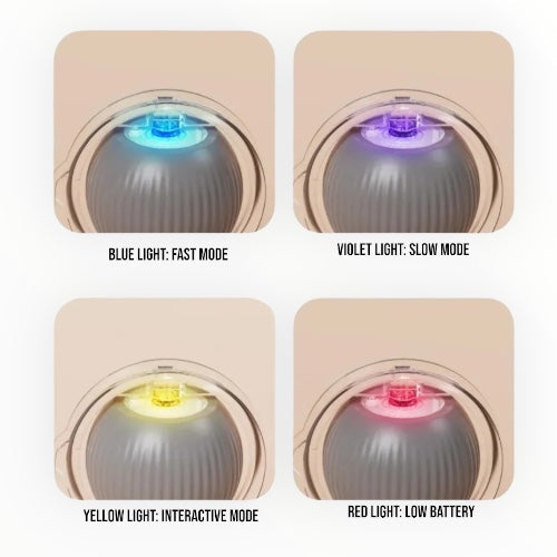 Talking Dog Club Automatic Rotating Interactive LED Ball for Cats, Kittens and Puppies (Green)