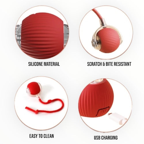 Talking Dog Club Automatic Rotating Interactive LED Ball for Cats, Kittens and Puppies (Green)