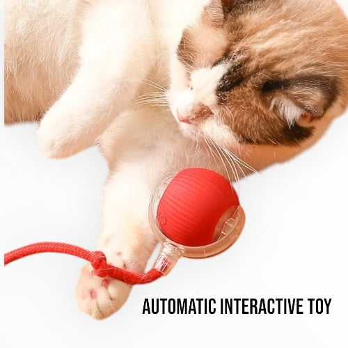 Talking Dog Club Automatic Rotating Interactive LED Ball for Cats, Kittens and Puppies (Green)